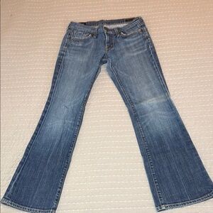 Citizens Of Humanity Blue Flare Wide Leg Jeans